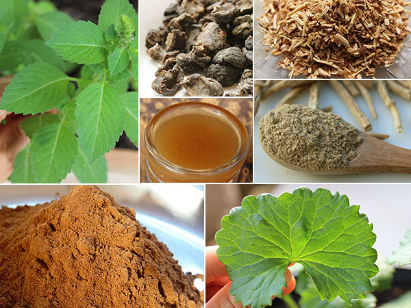 ayurvedic herbs