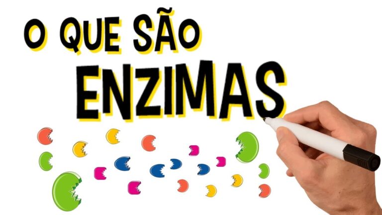 enzimas