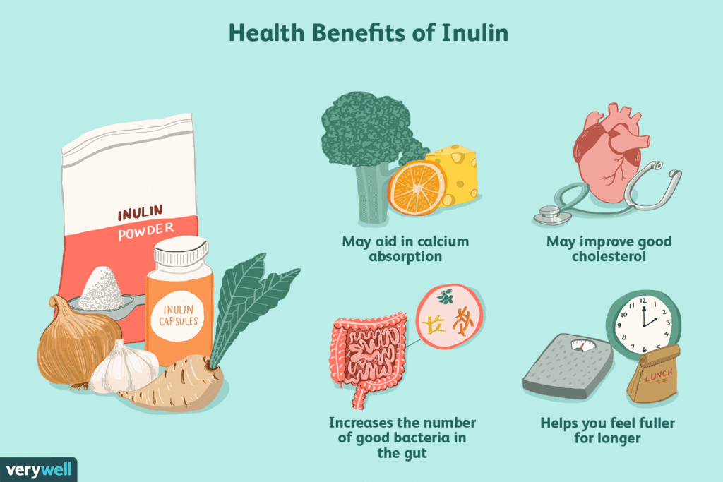 the health benefits of inulin 4587258 v2 3c7719ba3fc44c54816308af6cdc4922