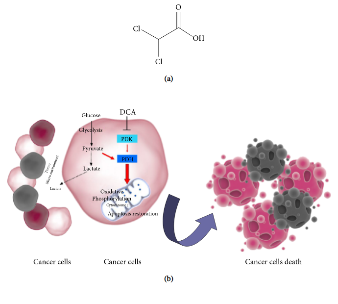 imagem 2021 05 19 202428