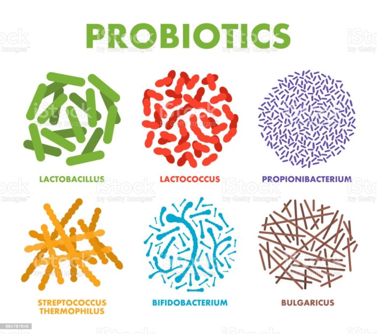 probioticos variedades