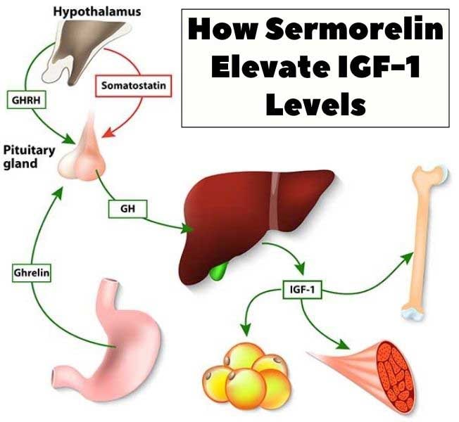 sermorelin igf 1
