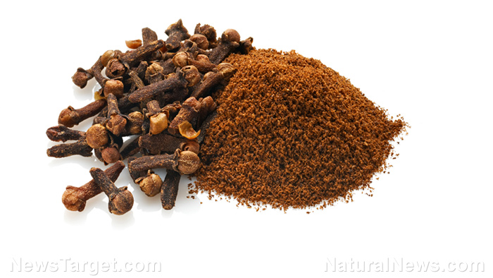 Cloves Powder