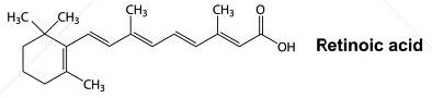 Vitamina A Acido retinoico 1