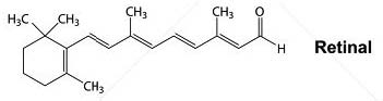 Vitamina A Retinal