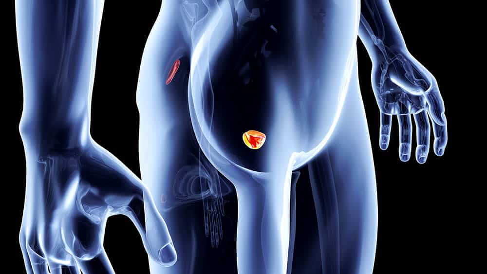 disfunções da próstata