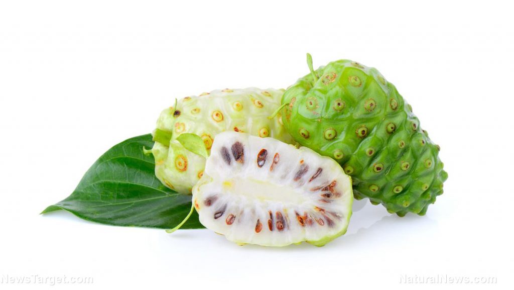 noni 1024x577 1