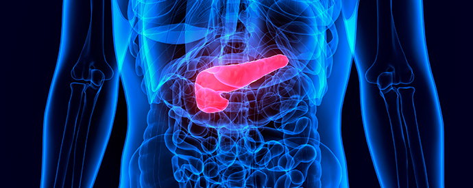 pancreas