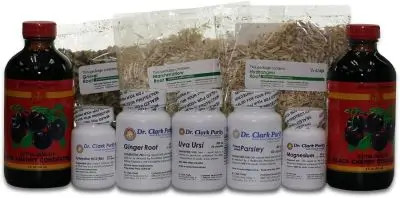 protocolo limpeza hulda clark