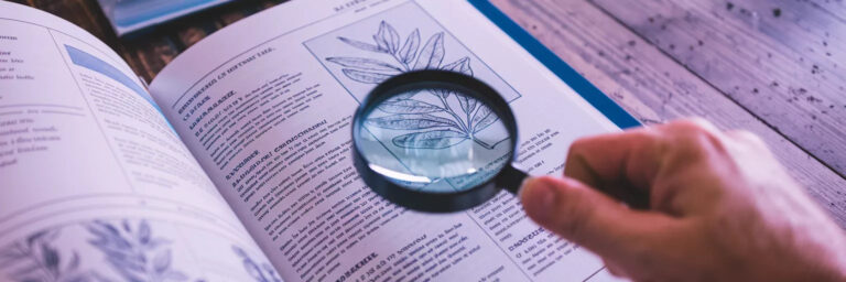 pulicacoes l carnosina colirio